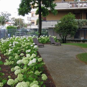 BERGAMO Giardino Baertsch